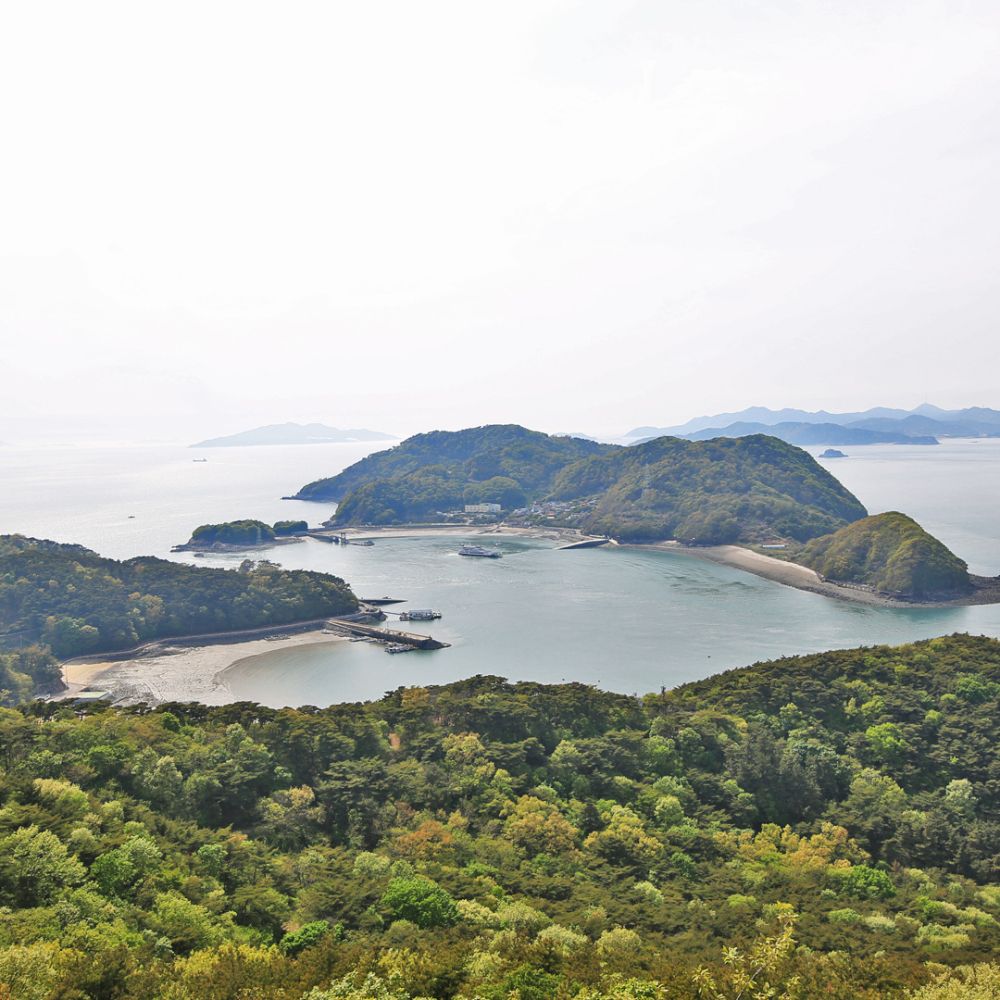 주변전경