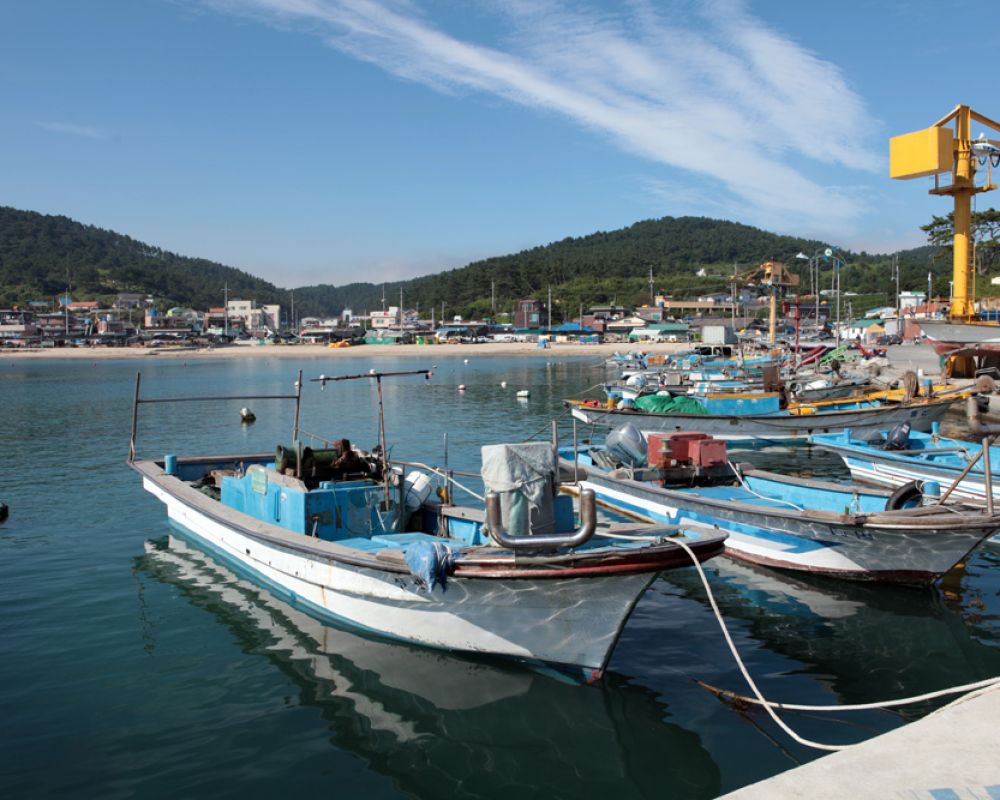 배낚시 알선
